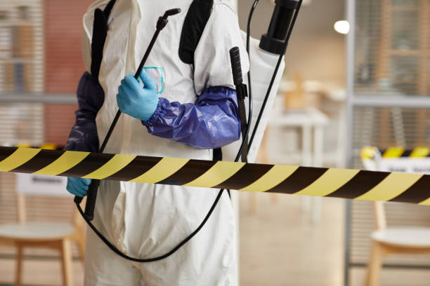Professional Sewage Cleanup technician working in Voluntown, CT